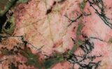 Polished Rhodonite Slab - Australia #65412-1